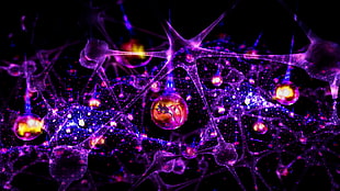 purple and orange cell illustration HD wallpaper