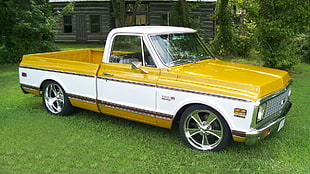 brown and white single cab pickup truck, 1967, 1968, 1969 Chevrolet C/K, 1970