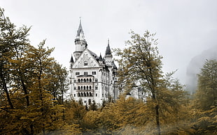 white and brown castle