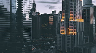 white high-riseconcrete building, city, skyscraper, Chicago