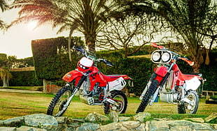 two red dual sport motorcycles