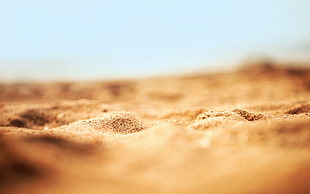 selective focus photo of brown sand