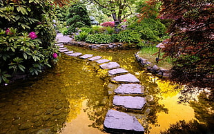 garden with gray rock pathway between body of water HD wallpaper