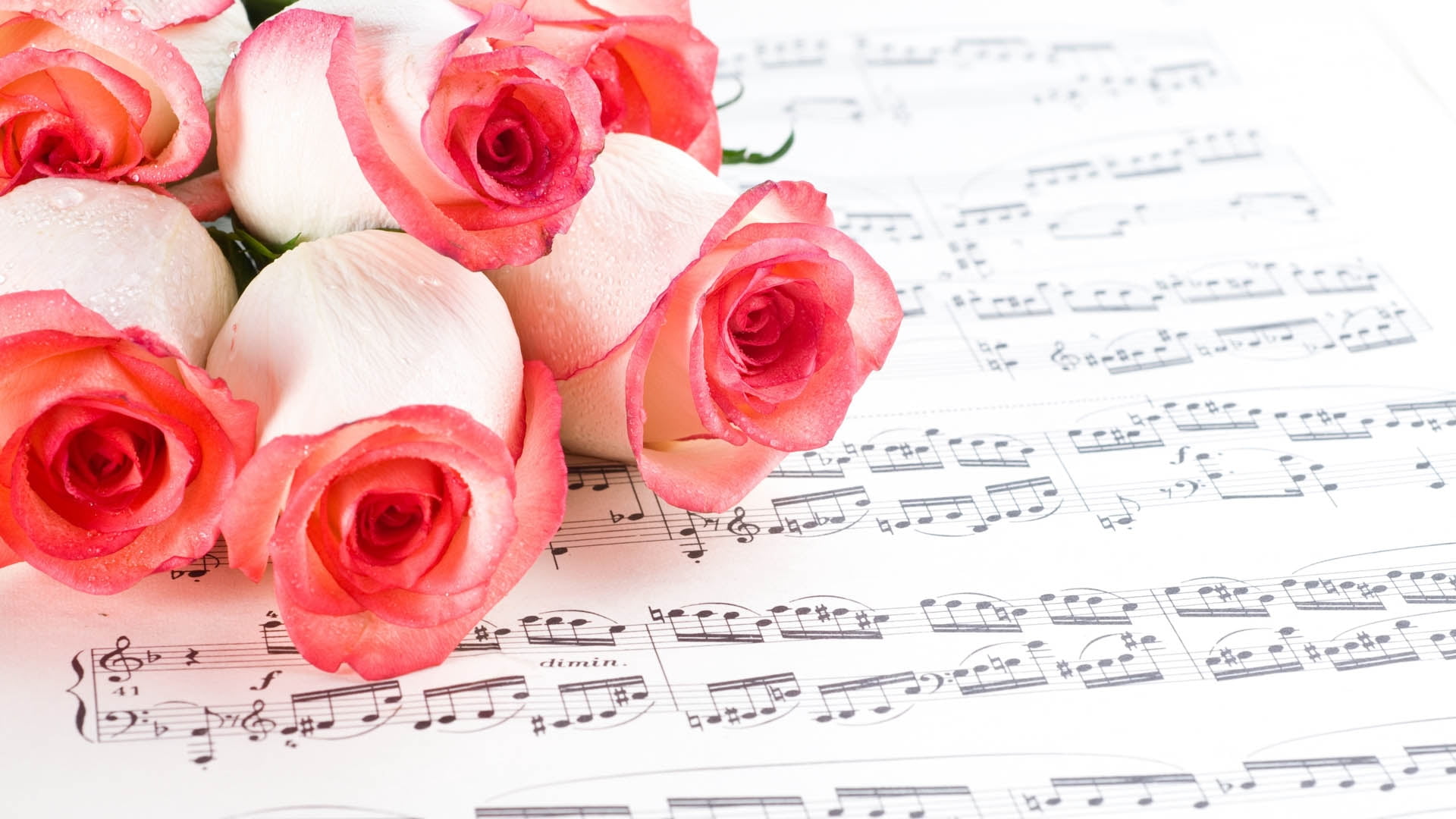 roses-music-flowers-white-wallpaper.jpg