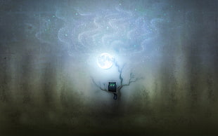 artwork HD wallpaper