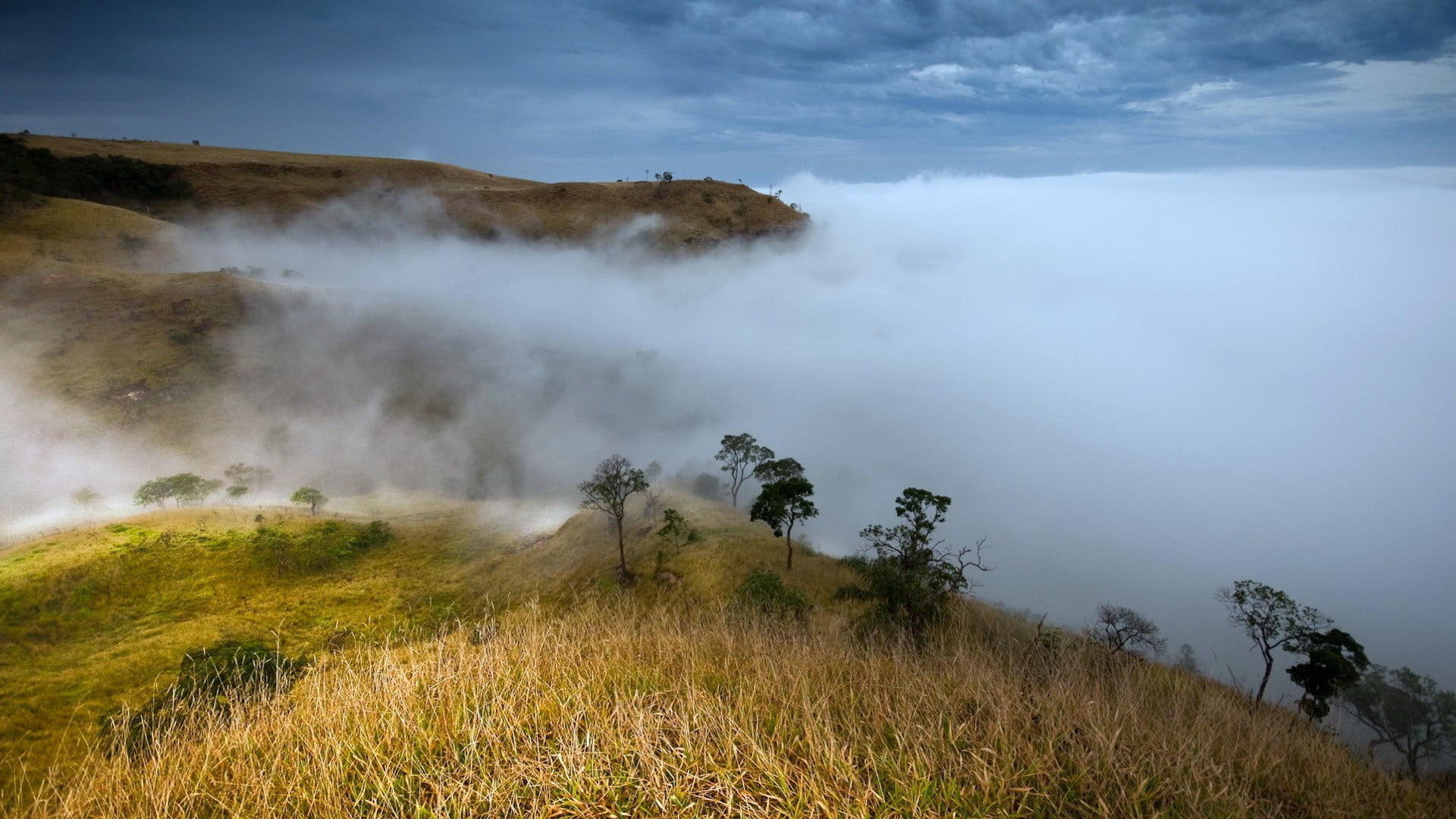 mountain covered with fog, landscape, mist, nature