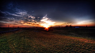 green and brown plain field, nature, sunset, landscape HD wallpaper