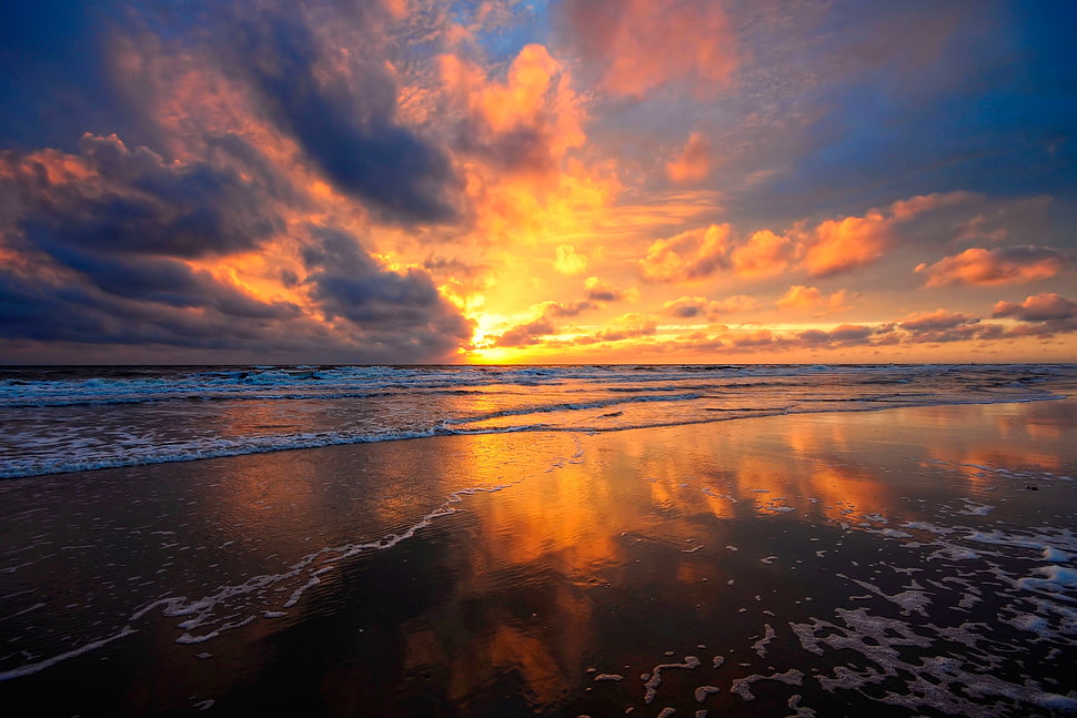seashore during golden hour HD wallpaper