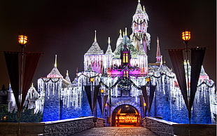 white and purple castle illustration, cityscape, castle, Disneyland, lights