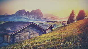 brown log house, mountains, barns, landscape, nature