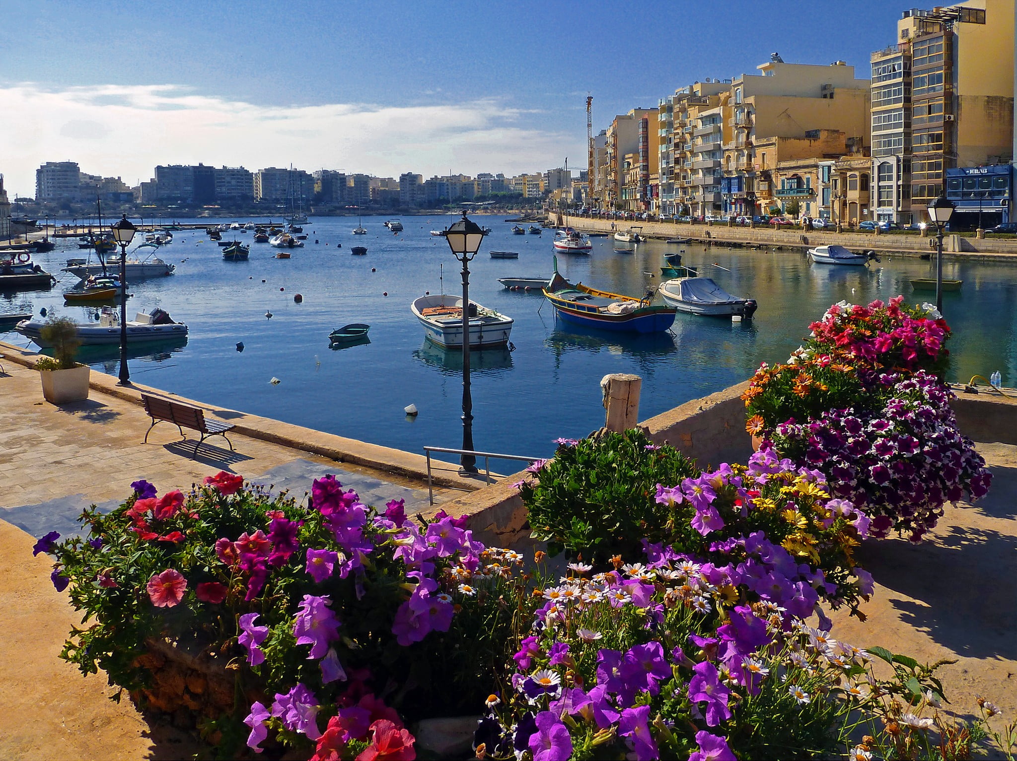 boat lot, flowers, cityscape, boat, building