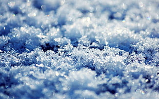 close-up photo of snow flakes HD wallpaper