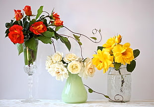 three assorted colors of flowers in glass vases