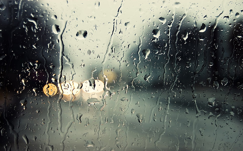 water drops, rain HD wallpaper