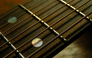 closeup photo of guitar stings