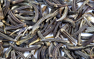 close-up photo of dried foods