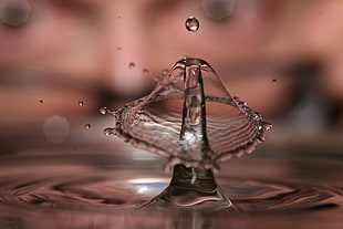 dew drops on body of water in closeup photo HD wallpaper