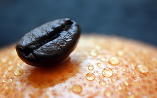 close-up photography of coffee bean HD wallpaper