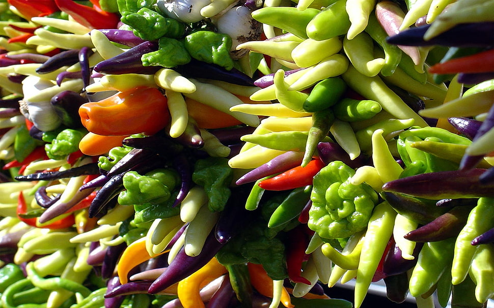 variety of vegetables HD wallpaper