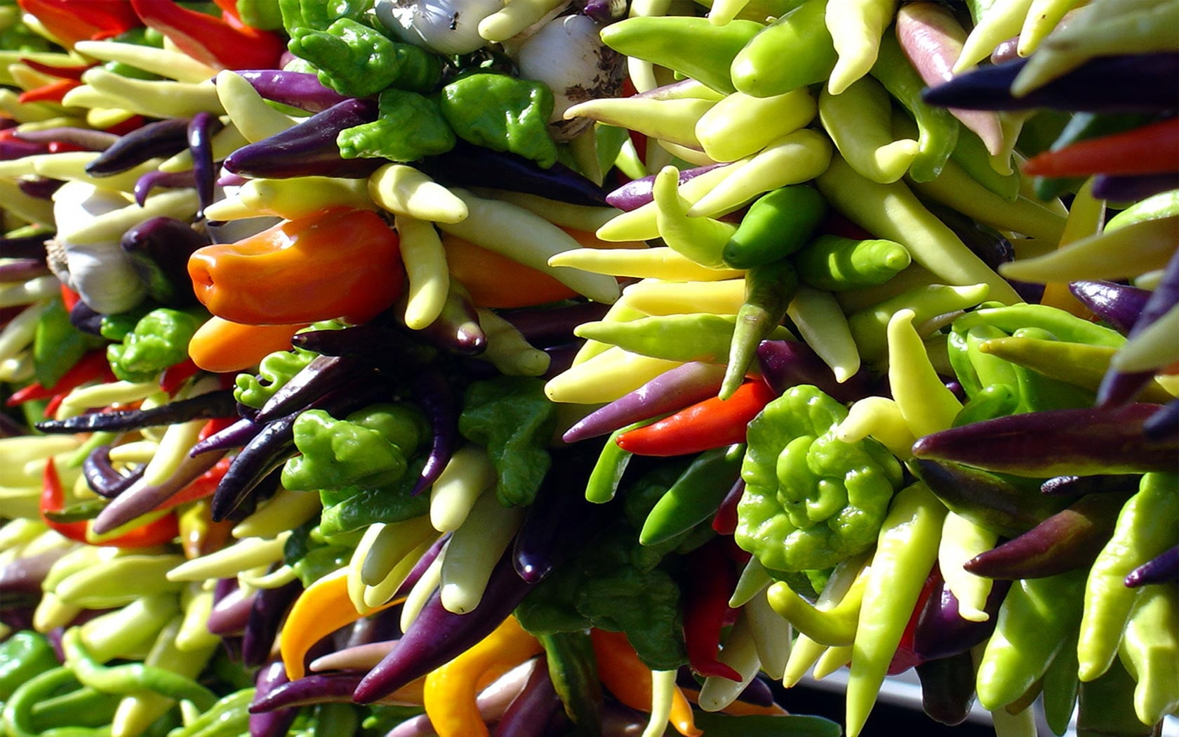 variety of vegetables