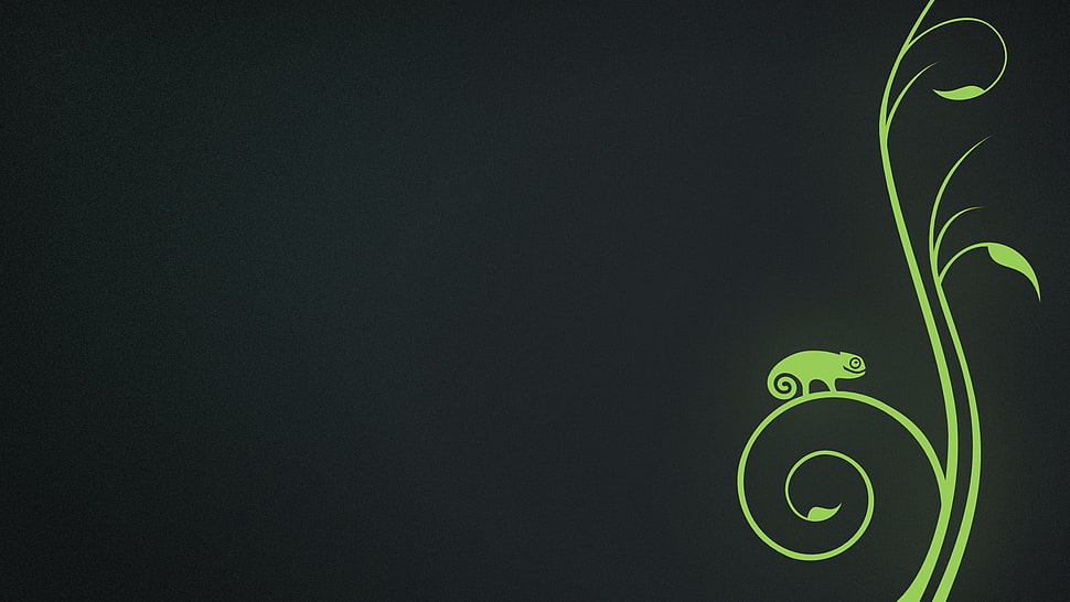 green chameleon illustration, openSUSE, Linux HD wallpaper