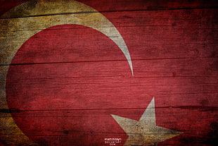 flag of Turkey panel decor, Turkish, flag, wood