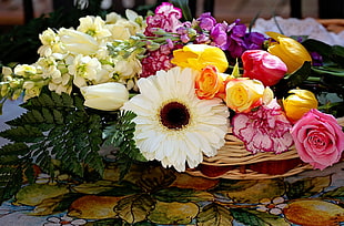 photography of assorted flowers