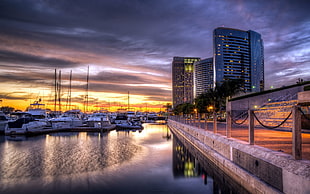 white yachts, cityscape, city, building, sunset HD wallpaper