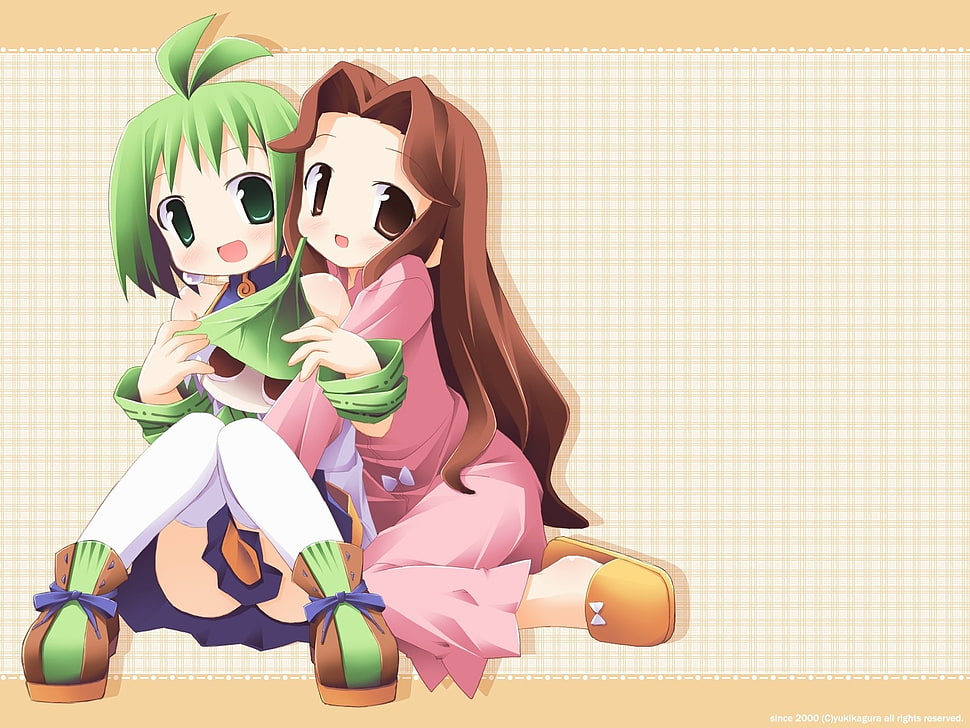 two woman anime character illustration HD wallpaper