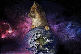 dog and earth illustration, pixel sorting, Earth, animals HD wallpaper