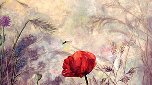 red Poppy flower painting