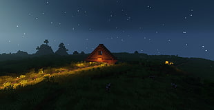 green grass field, Minecraft, landscape, house