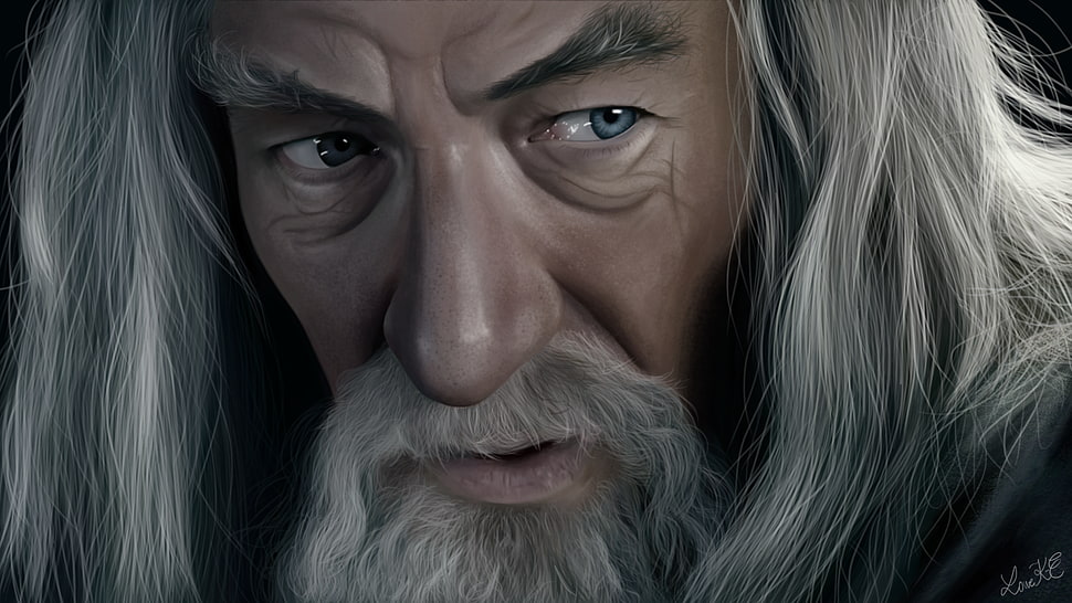 Gandalf digital wallpaper, Gandalf, The Lord of the Rings, artwork, face HD wallpaper
