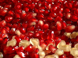 pile of pomegranate HD wallpaper