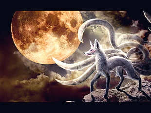 nine-tailed fox illustration, Kyuubi, Naruto Shippuuden HD wallpaper