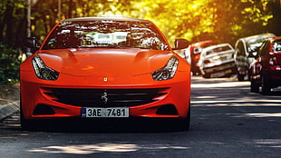 orange Ferrari car, Ferrari, car, Ferrari FF