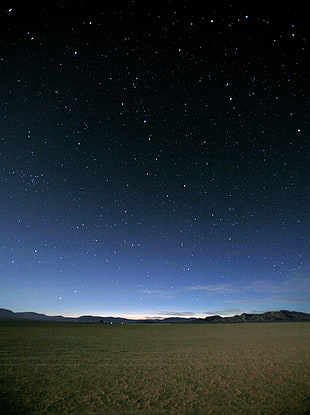 stars above green grass field HD wallpaper
