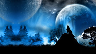 silhouette photo of howling wolf HD wallpaper