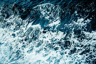 Wave of the Ocean