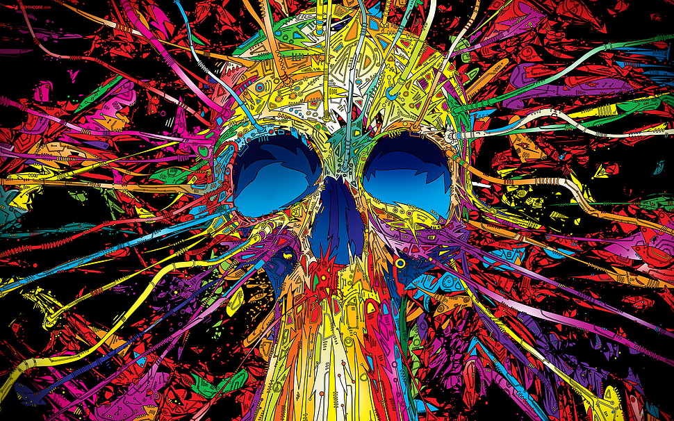 multicolored skull wallpaper HD wallpaper