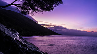 photography of mountain near sea under purple sky, port douglas