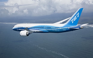 photo of blue and white flight 787 airplane