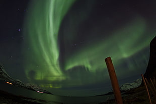 aurora borealis photograph, norway HD wallpaper