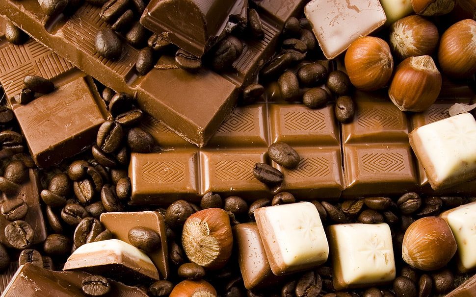 closeup photo of chocolate bars and nuts HD wallpaper