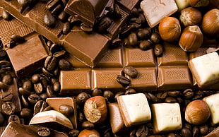 closeup photo of chocolate bars and nuts