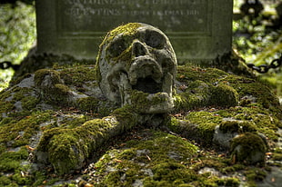 human skull, graveyards, skull, skull and bones HD wallpaper