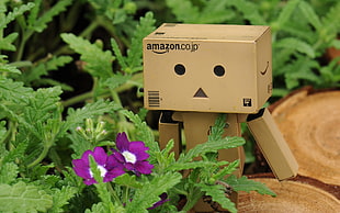 Amazon Co cardboard character
