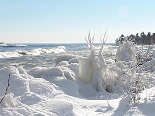landscape photography of snow near seashore