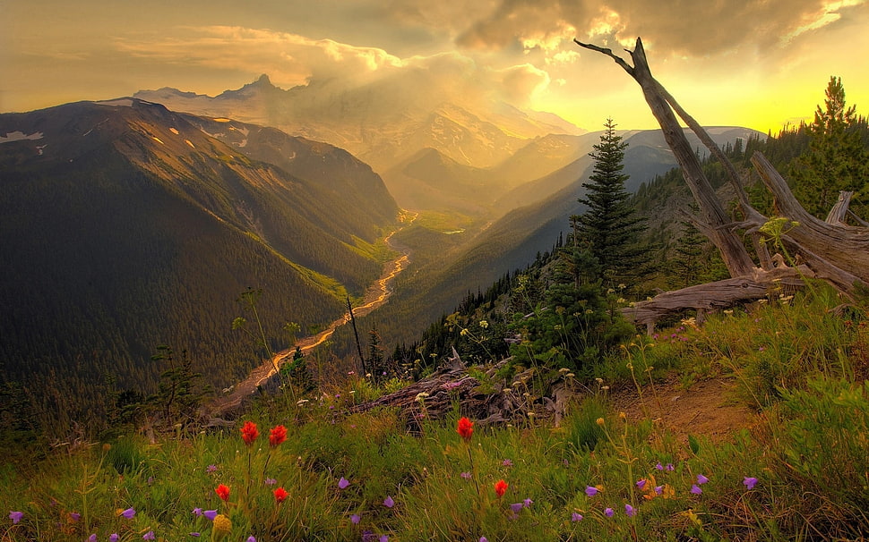 Mountain Ranges During Sunset HD wallpaper