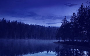 photo of trees near body of water, lake, nature, landscape, blue